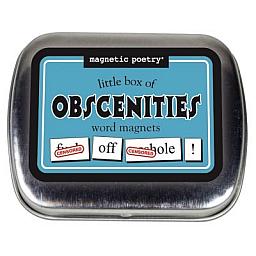OBSCENITIES WORD MAGNETS
